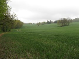 Heading towards Boughton Malherbe